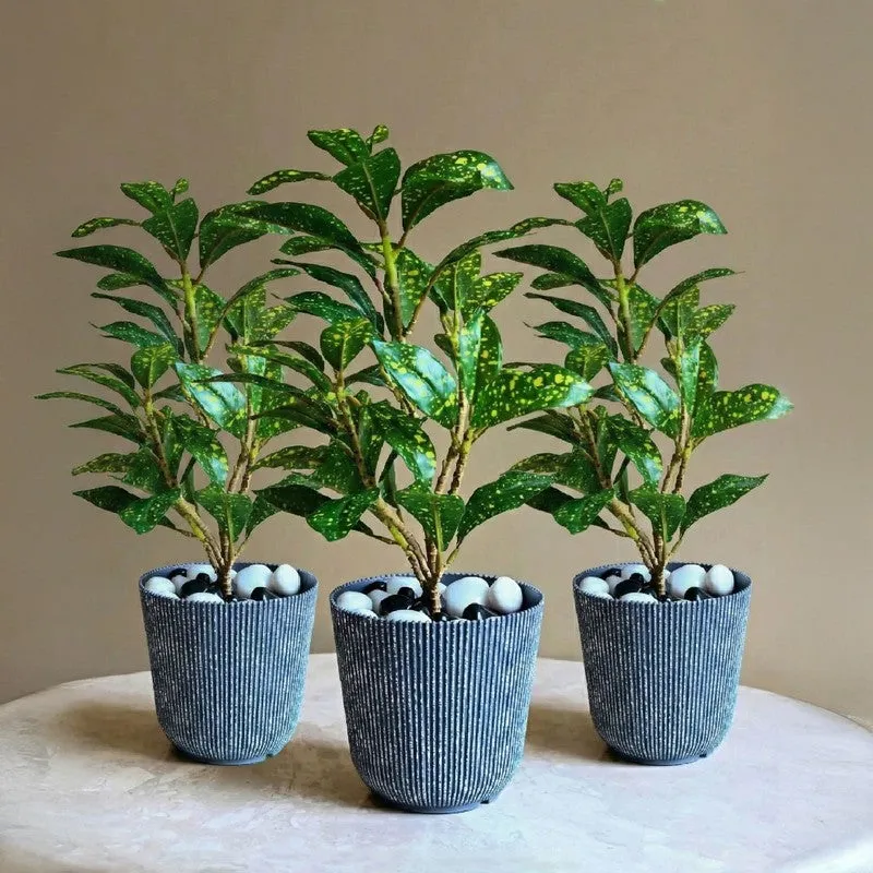 Obsidian Ridge Garden Planter - Set Of Three media 3