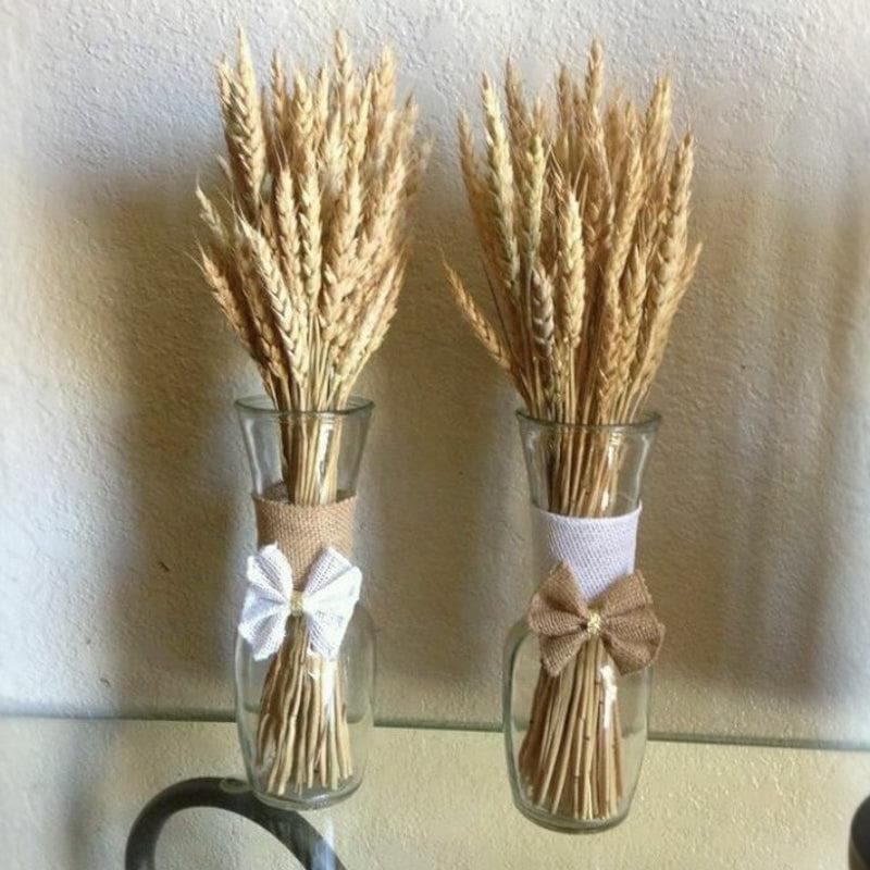 Naturally Dried Wheat Grass Stems - Set Of Thirty media 4
