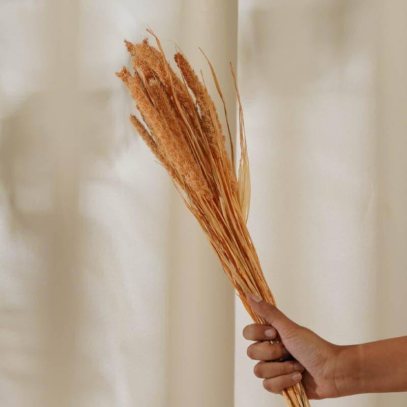 (Orange) Dried Millet Grass (2.3 ft) - Set Of Twenty Stems media 4
