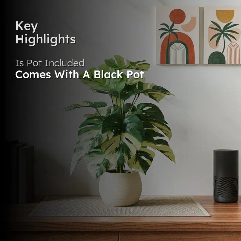 Monstique Artificial Monstera Plant With Black Plastic Pot - 2.5 Feet media 2