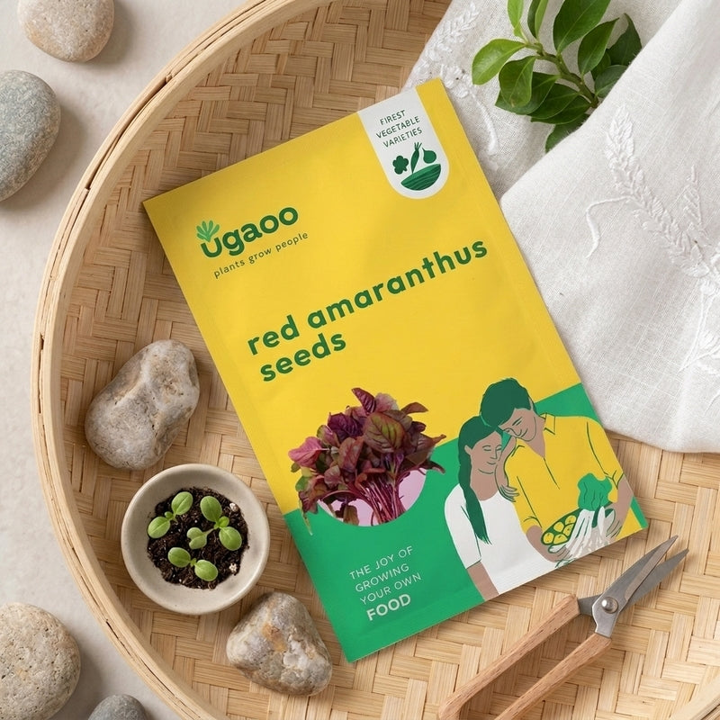 Ugaoo Red Amaranthus Seeds (Red Math)