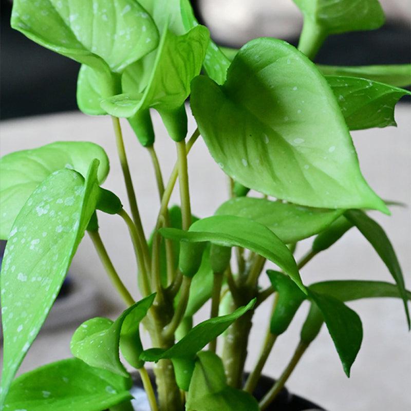 Moniva Artificial Pothos/Money Plant With Black Plastic Pot (Light Green) - 19 cm media 5