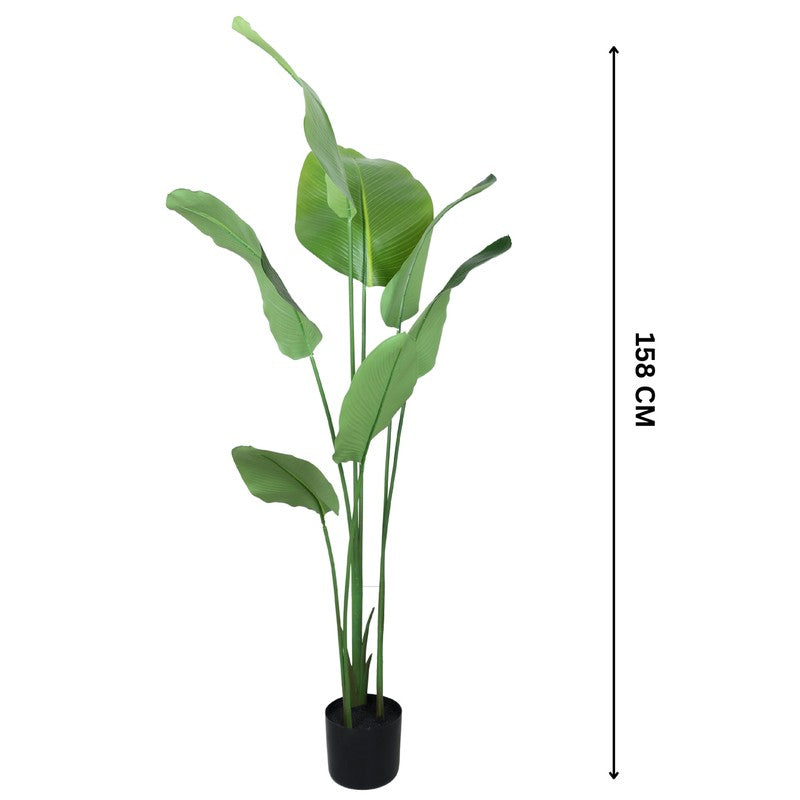 Artificial Calathea Plant With Black Fiber Pot - 5.2 Feet media 6