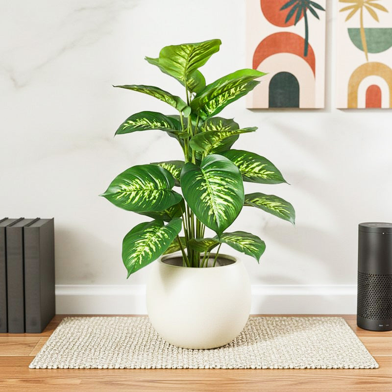 Differa Artificial Dieffenbachia Plant With Black Plastic Pot (2 Feet) - Yellow, Green