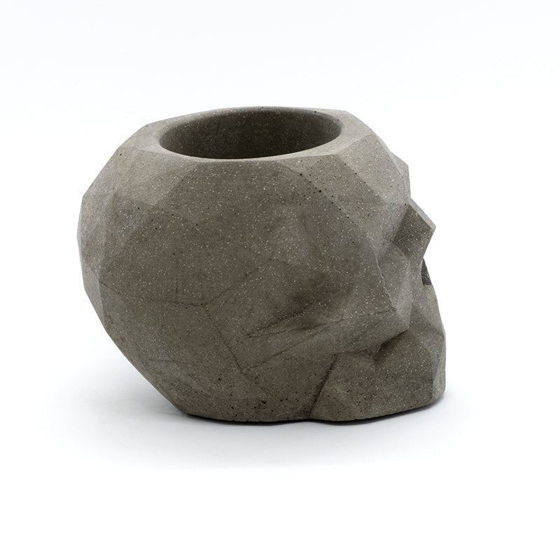Skuller Ash Tray media 3