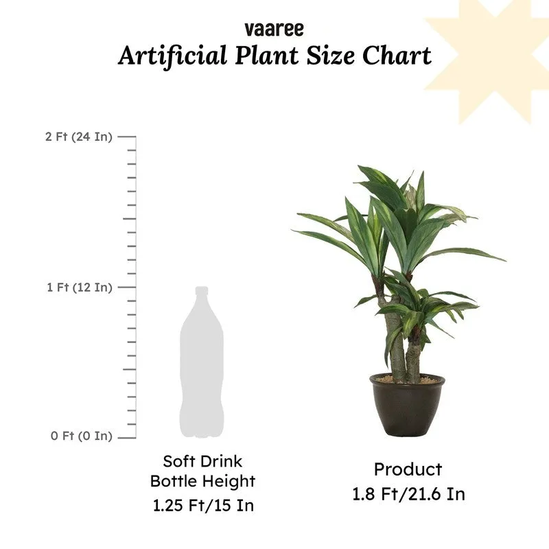 Artificial Green Dracaena Bonsai Plant With Black Fiber Pot - 1.8 Feet media 6