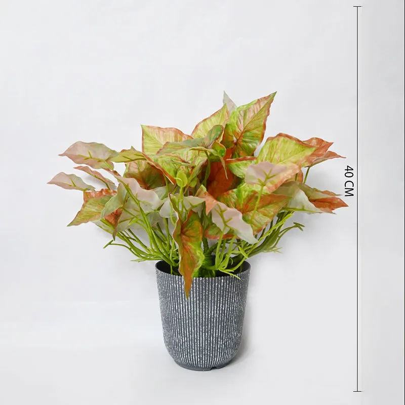 Calavine Artificial Caladium Plant With Black Plastic Pot - 40 cm media 6