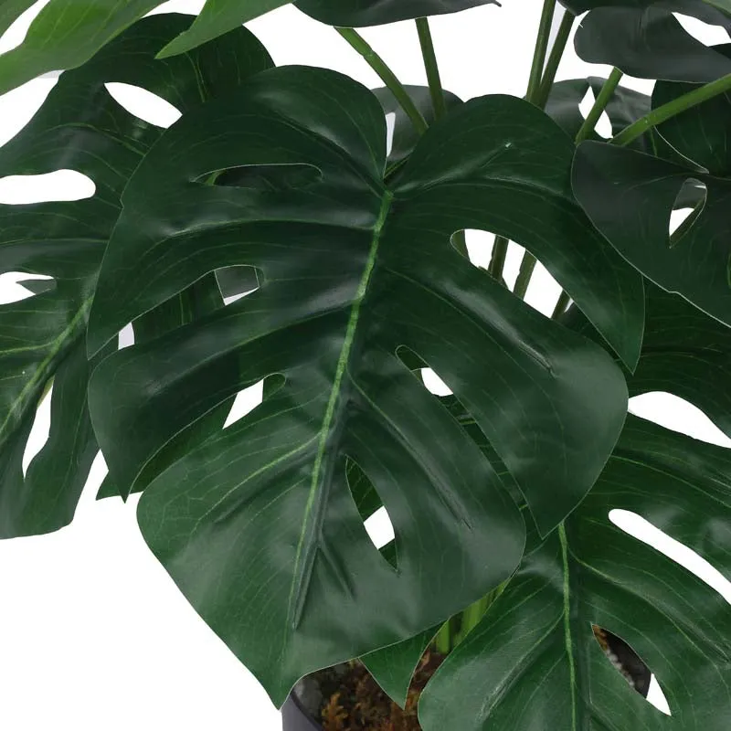 Lush Tropiks Artificial Mostera Plant With Black Plastic Pot -  1.8 Feet media 4