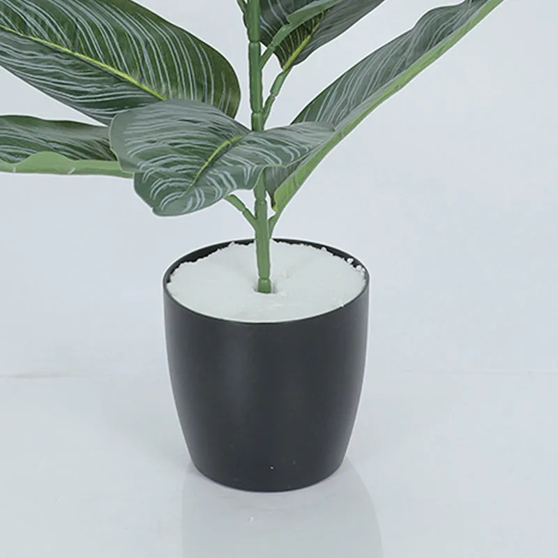 Edira Artificial Dieffenbachia Plant With Black Plastic Pot - 2.6 Feet media 4