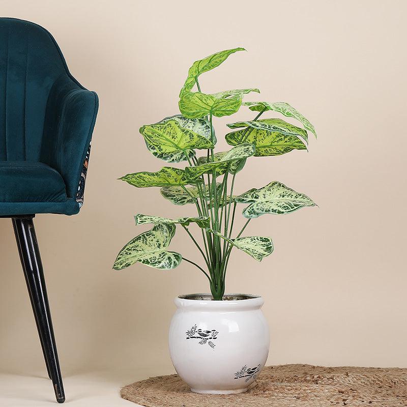 Faux Botanic Light Green Alocasia Plant - 2 Feet