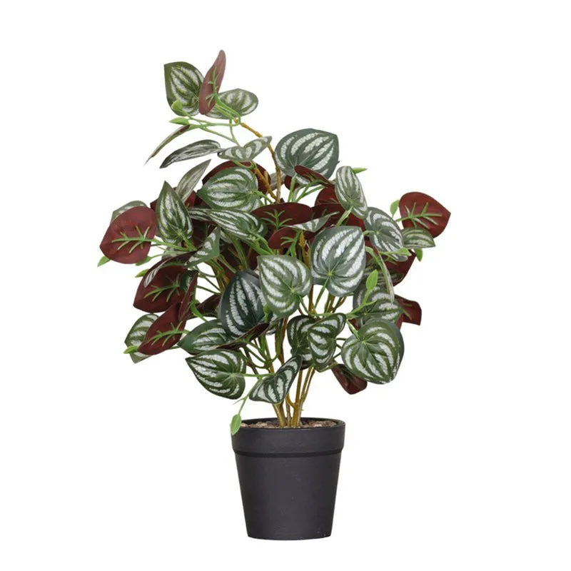 Artificial Red Peperomia Leaf Plant With Black Fiber Pot - 1 Feet media 6