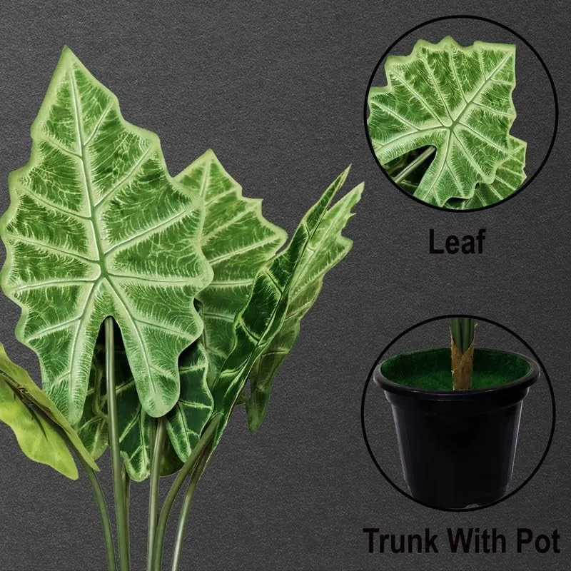 HomeBloom Artificial Alocasia Plant With Black Plastic Pot - 2 Feet media 5