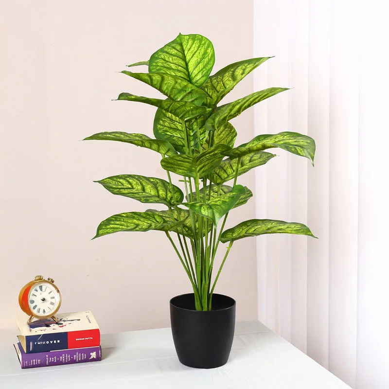 Calena Artificial Caladium With Black Plastic Pot - Green media 3
