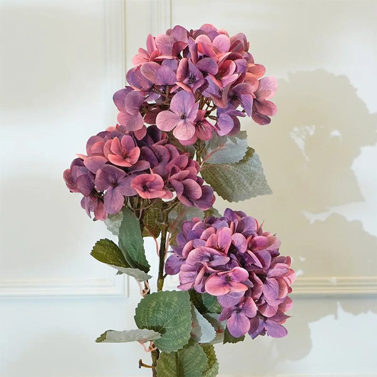 Close view of maroon-purple hydrangea blooms and green leaves