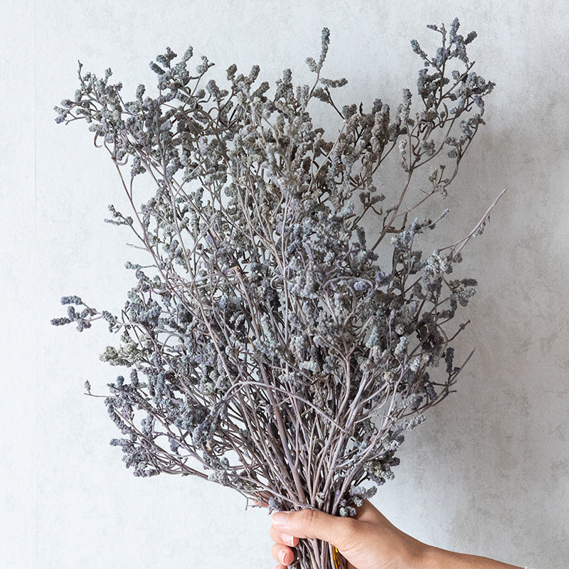 Ariel Dried Statice Flower Bunch - Grey media 4