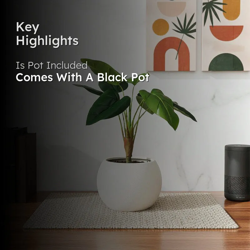 TeraVine Alocasia Artificial Plant With Black Plastic Pot - 2.4 Feet media 2