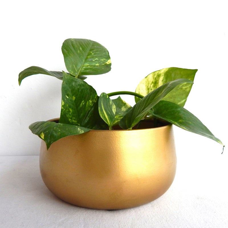 Sylvie Metal Planter - Gold media 3