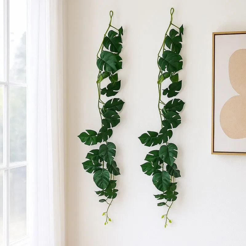 Artificial Monstera Vine - Set Of Two media 3