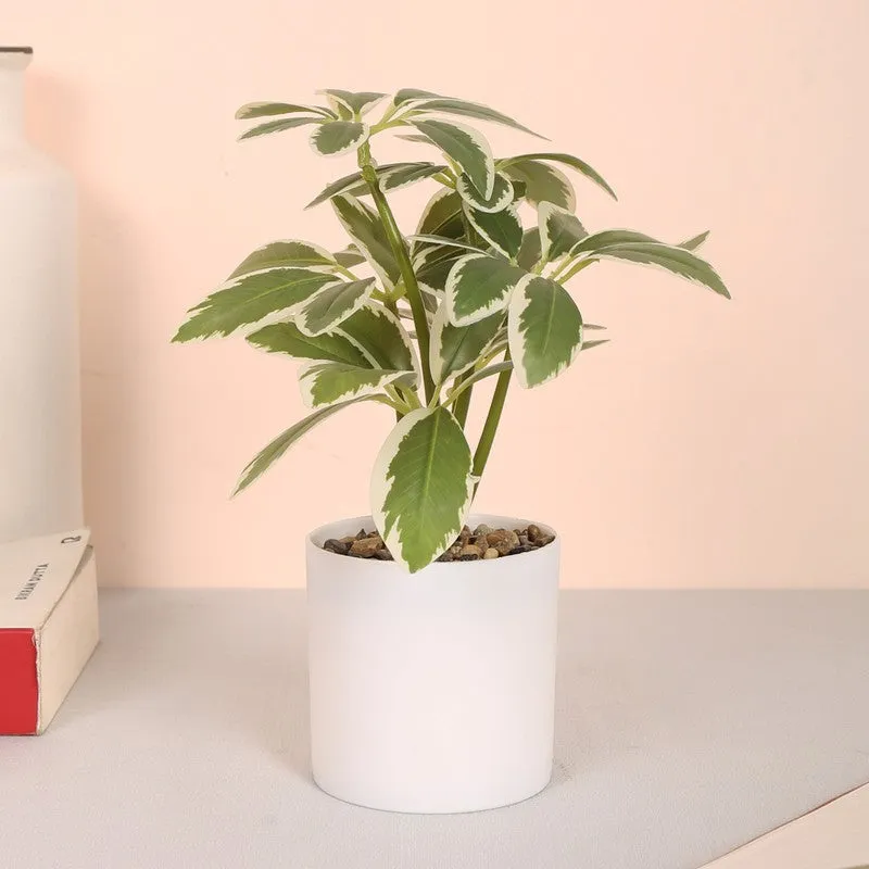 Schefflera Artificial Plants With Pot media 1