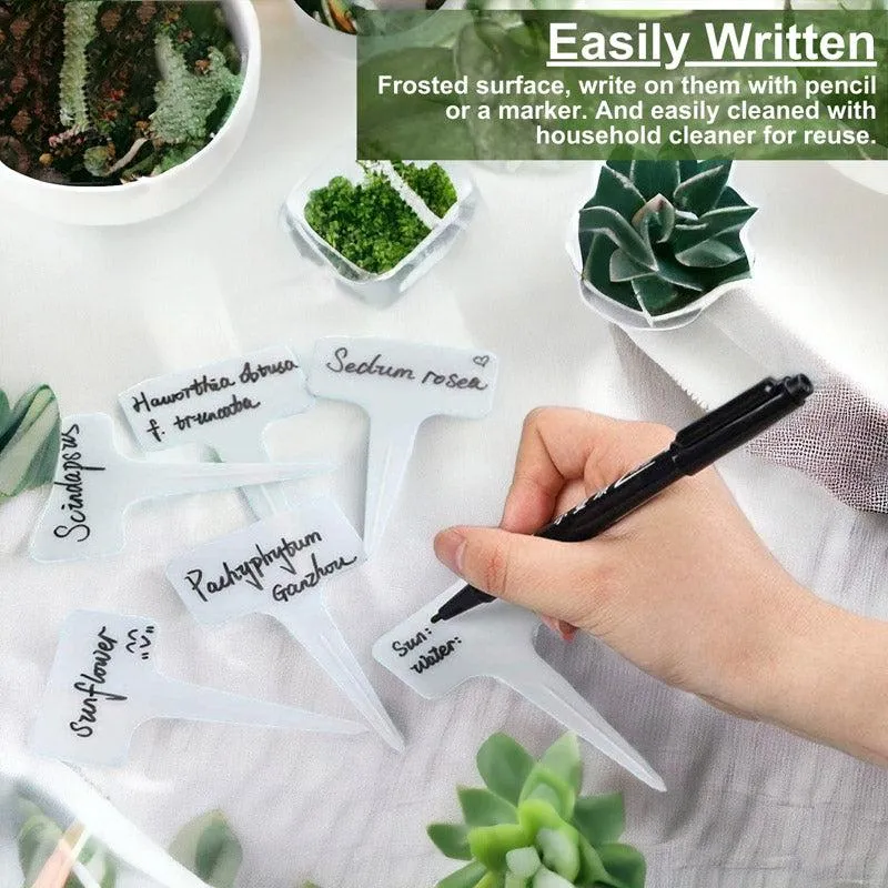 Texto Plant Marker - Set Of Hundred media 6