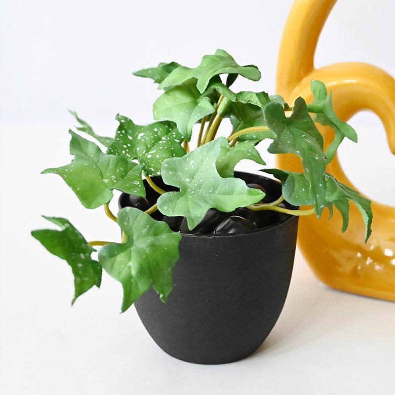 Ivella Artificial Mini Ivy Plant With Basic Black Plastic Pot (Green) - 14 cm media 3