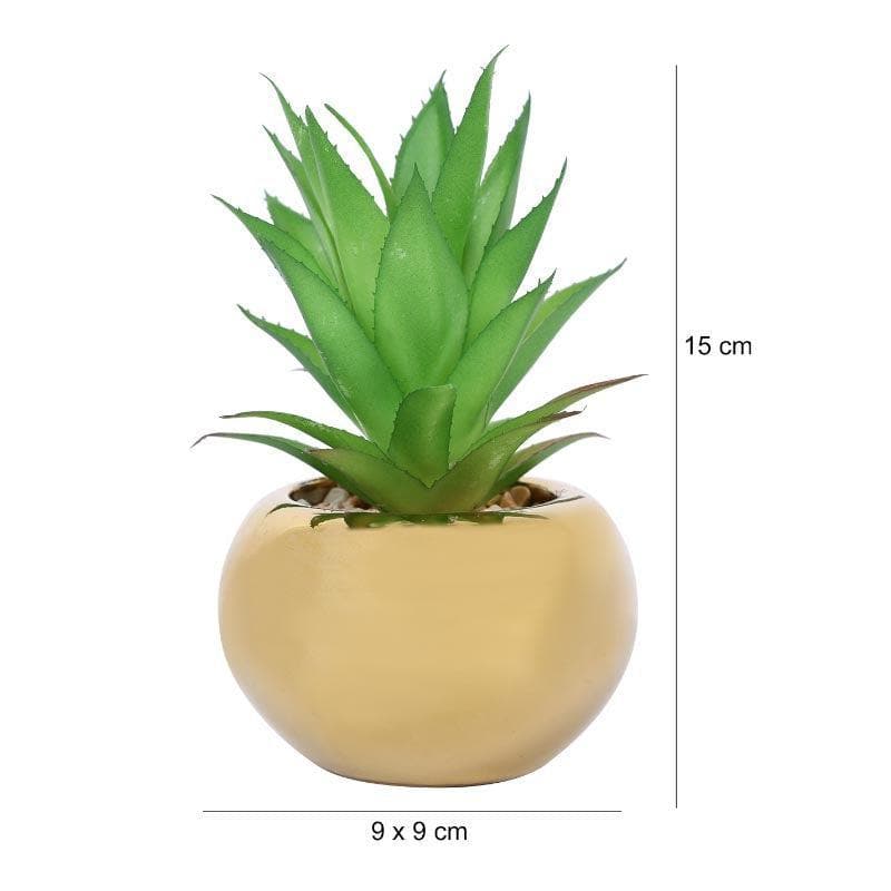 Faux Aloe Vera In Round Ceramic Pot - 14 cms media 4