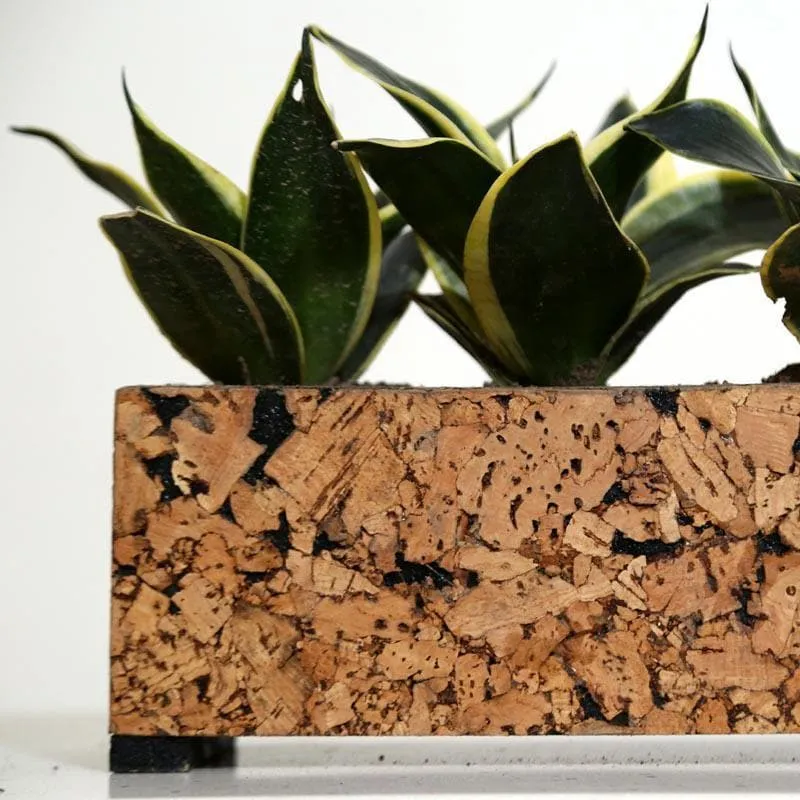 Corky Grove Tri Planter media 4