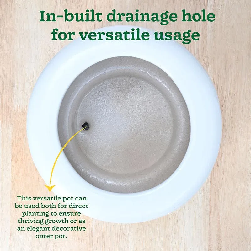 Ugaoo Ceramicurve Three Layer Ceramic Planter - White media 7