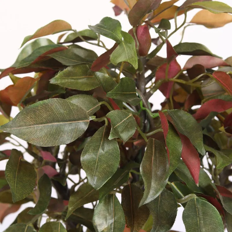 Red Ficus Artificial Bonsai Plant With Ceramic Pot 1.1 Feet - 1.3 Feet media 5