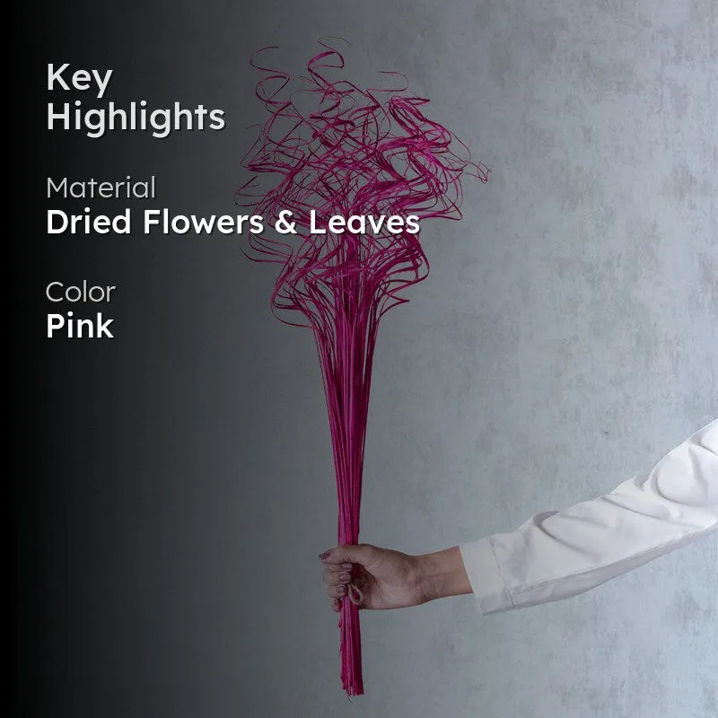 Marisei Curly Stem - Pink media 2
