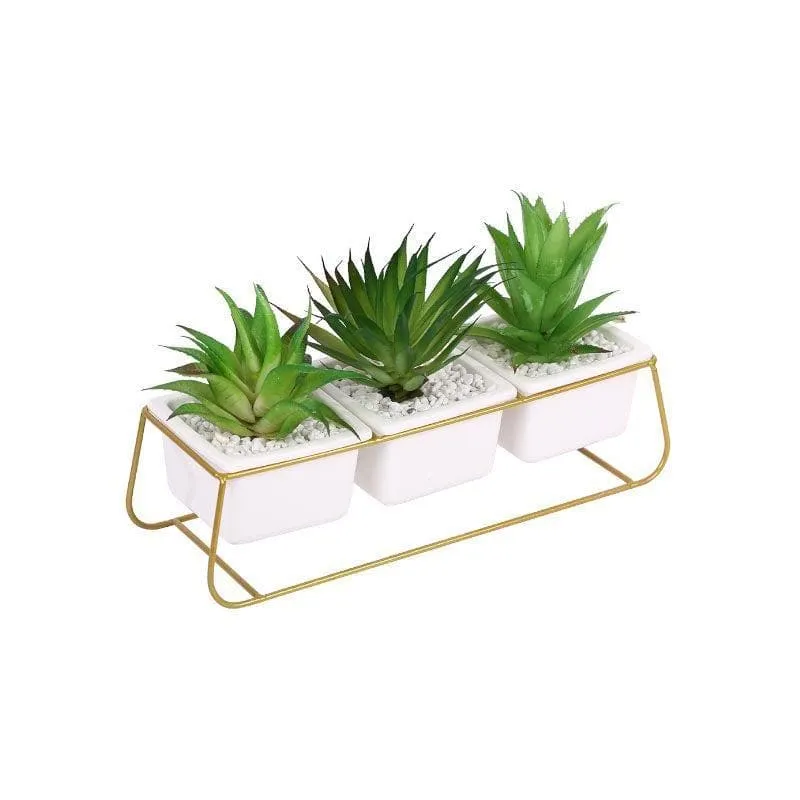 Faux Triad Succulent In Pot - 15.5 cms media 3