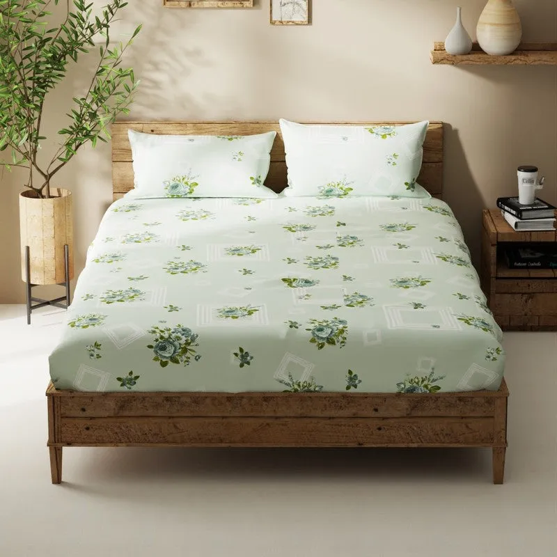 Ceynor Bedsheet (Green) - 115 GSM media 3