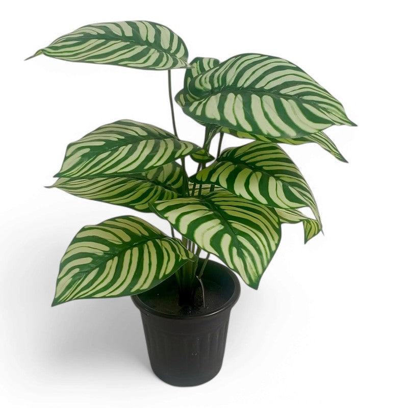 TerraLeaf Artificial Plant - 1.5 Feet media 3