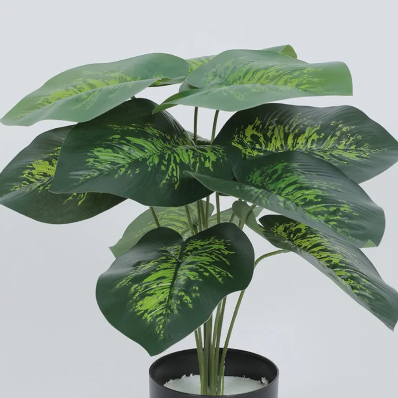 Diora Artificial Green Dieffenbachia With Black Plastic Pot - 1.8 Feet media 4