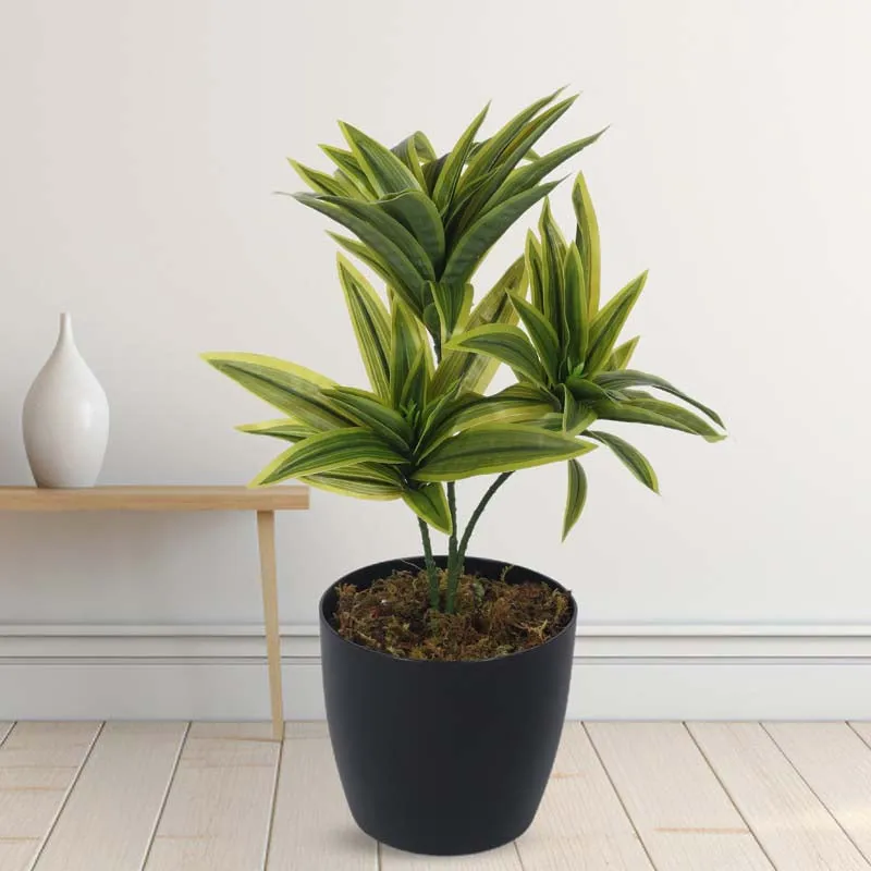 Faux Lush Dracaena Reflexa Plant With Black Plastic Pot (Light Green) - 1.3 Feet media 2