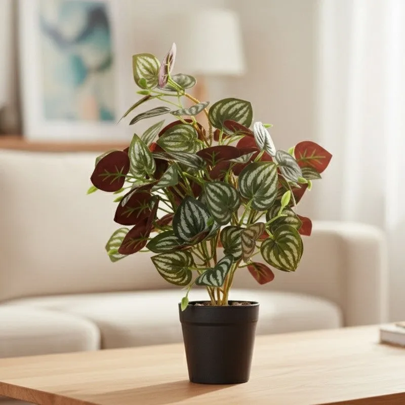 Artificial Red Peperomia Leaf Plant With Black Fiber Pot - 1 Feet media 3
