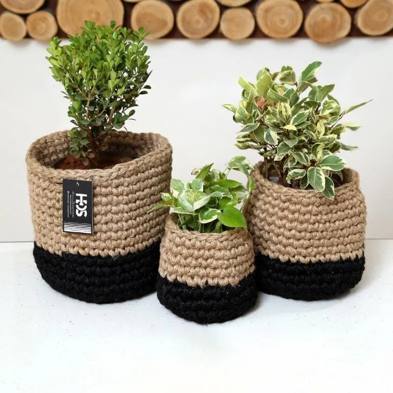 Serene Sanctuaries Jute Planter media 4