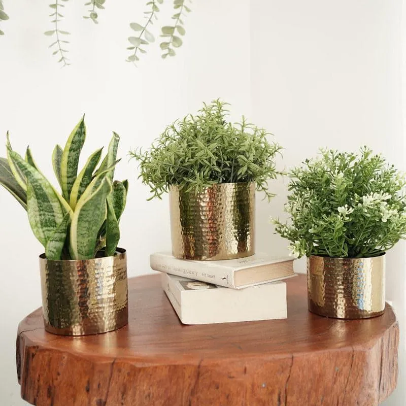 Eliza Metal Planter - Set Of Three media 3