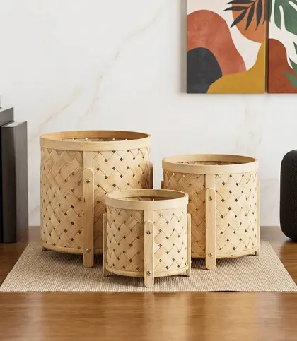 Bamboo