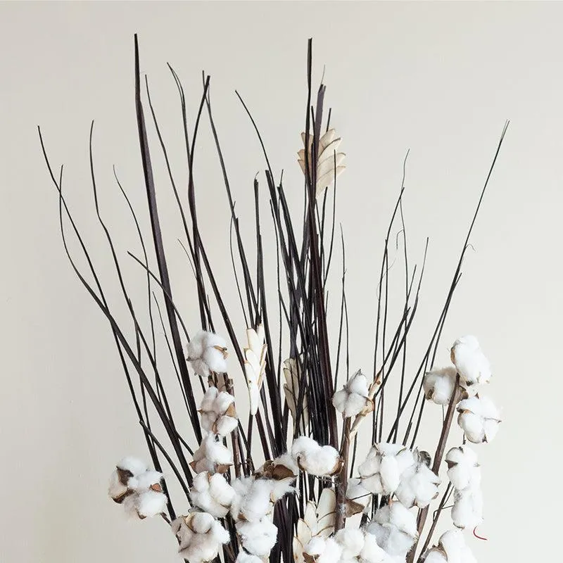 Zenora Dried Cotton Bunch media 3