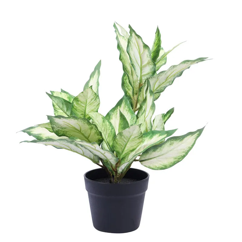 Artificial Realistic Variegated Dieffenbachia With Black Plastic Pot - Green media 4