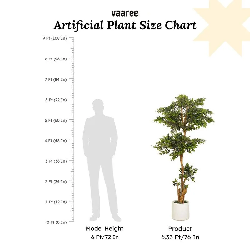 Artificial Ruscus Plant Without Pot - 6.2 Feet media 7