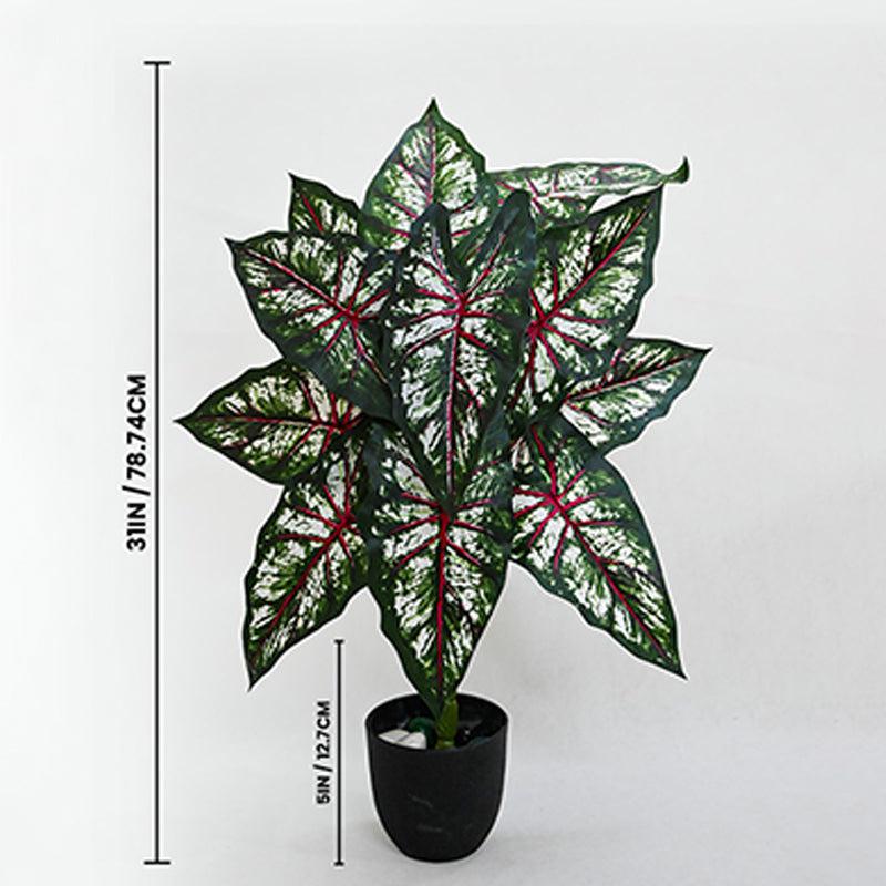 Faux Everlasting Tropical Caladium Plant With Black Plastic Pot - 79 cm (2.6 ft) media 5