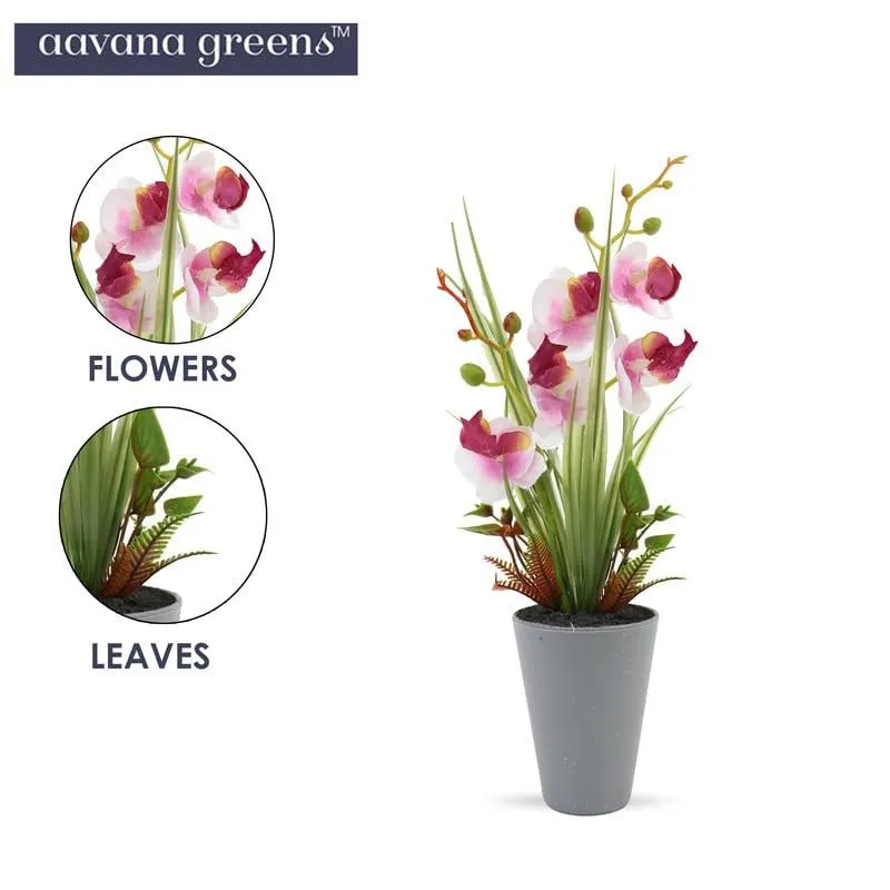 Artificial Bonsai Flower Plant with Ceramic Pot - 0.8 Feet (Purple) media 5