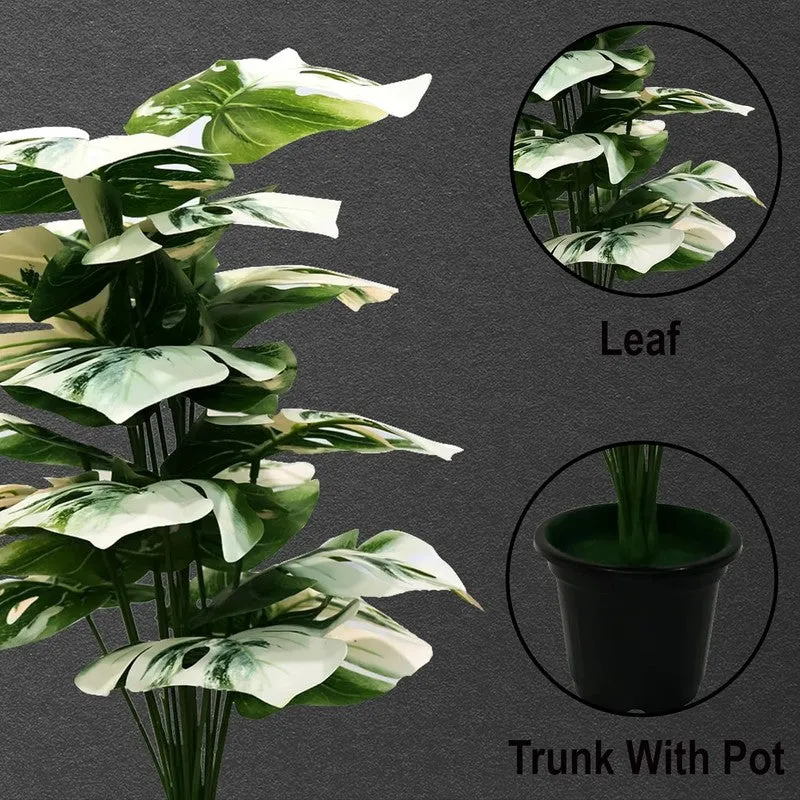 Monstique Artificial Monstera Plant With Black Plastic Pot - 2.5 Feet media 4
