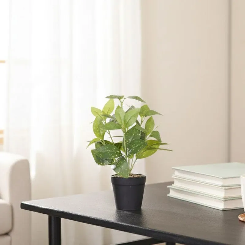 Artificial Grey Croton Plant With Black Fiber Pot - 0.9 Feet media 5
