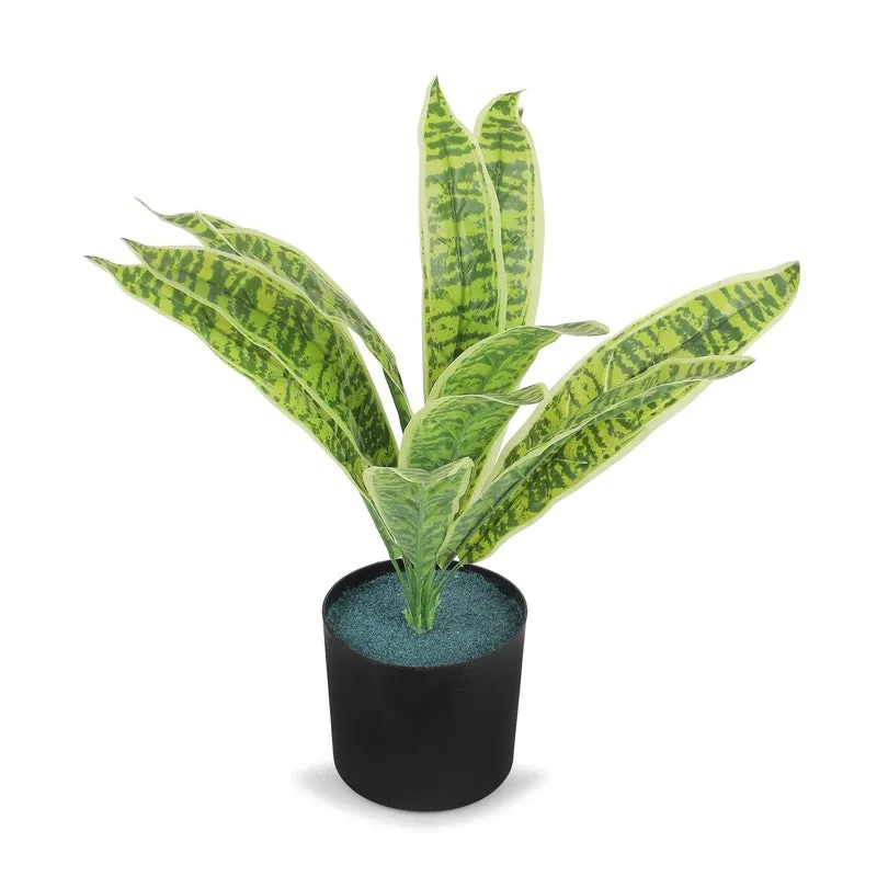 Neonix Snake Artificial Plant With Plastic Pot - 1.4 Feet media 4