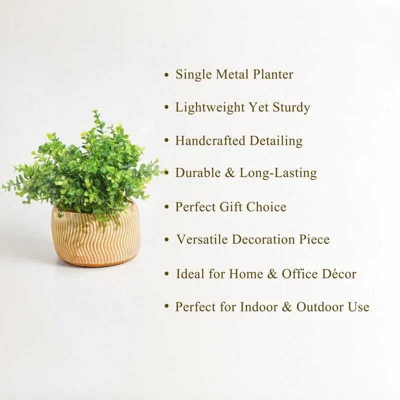 Suncrest Metal Planter media 5