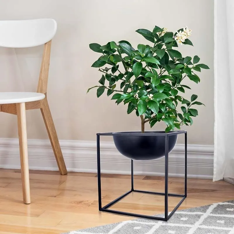 Inky Black Planter media 3