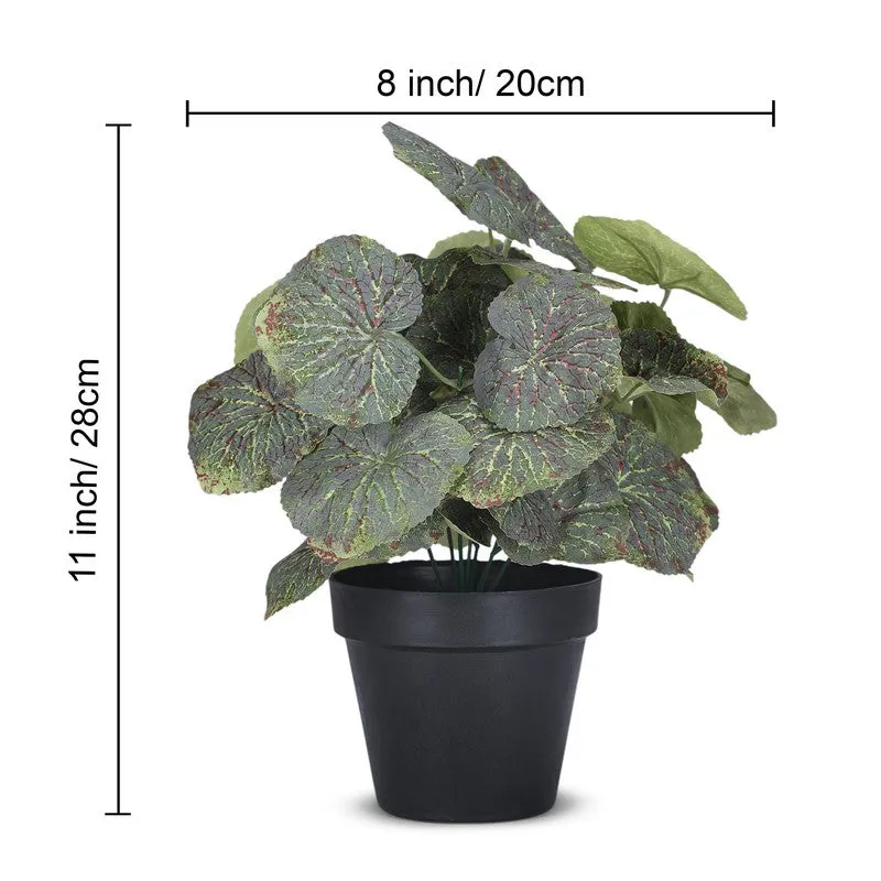 Artificial Green Begonia Plant With Black Plastic Pot media 4